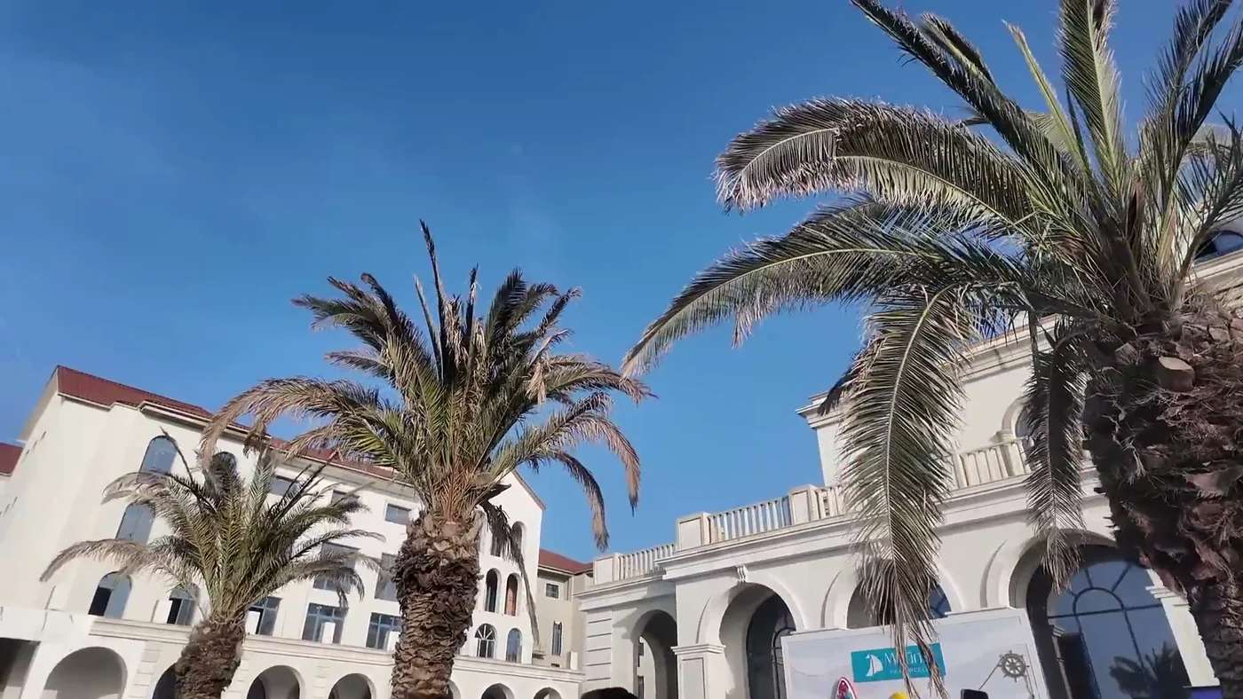 Palms and white facades by the marina